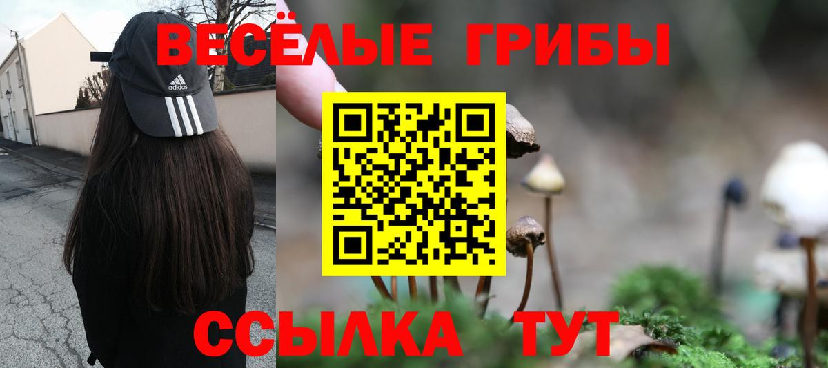 Галлюциногенные грибы прущие грибы Саянск